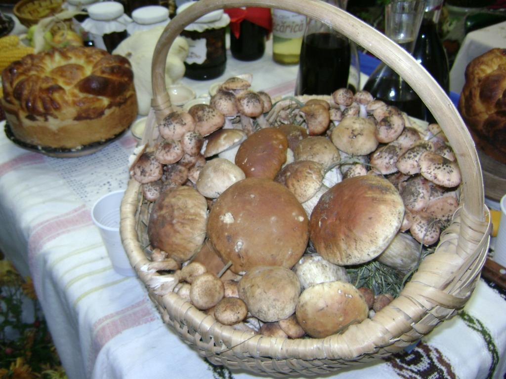 Casa Bunicii Din Bucovina Villa Vama  Room photo